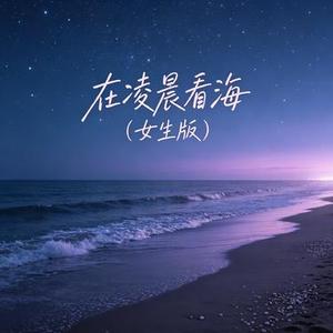 在凌晨看海