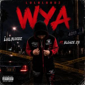 Wya (feat. Bleaze28)