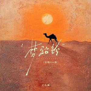 梦驼铃