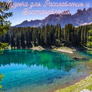 Успокойте Нервную Систему