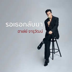 รอเธอกลับมา