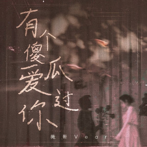 有个傻瓜爱过你