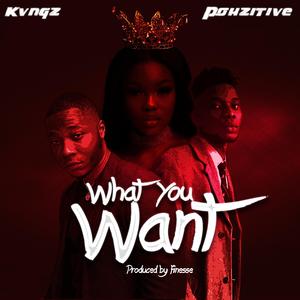 What You Want (feat. Pohzitive)