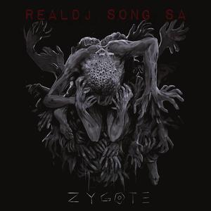 Zygote