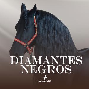 Diamantes Negros