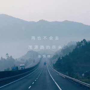 再也不会去茂源路的尽头