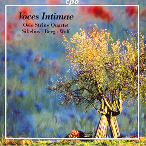 Lyric Suite:III. Allegro misterioso