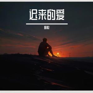 迟来的爱