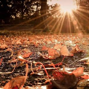 致00后的预防针