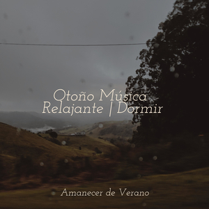 Odisea de Fusión Estelar