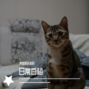 情非得已_虎宝的小心肝（翻自 庾澄庆）