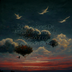 Sinfonía Transitoria