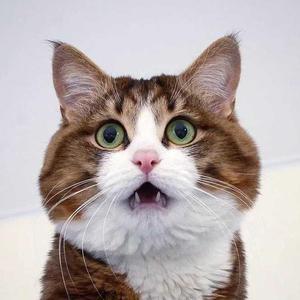 晚安 （cover 颜人中）