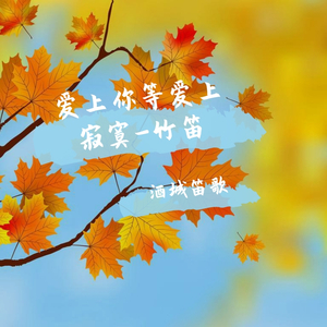 爱上你等于爱上寂寞-低音曲笛