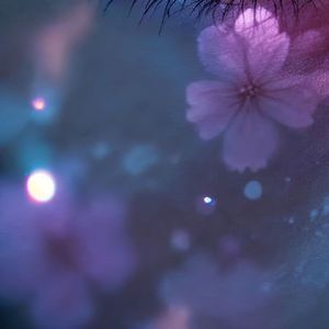 虫儿飞 (钢琴版2)