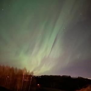 Shotte på Beito (concert) (Radio Edit)