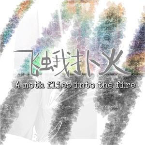 飞蛾扑火(prodByHoney）