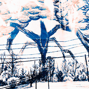 when world is down I get homicidal