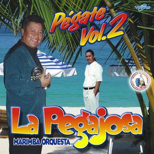 Mix Ranchero 2: Ambición de Quererte / Ni el Dinero Ni Nada / Me Gustas Mucho / Chaparrita Consentida