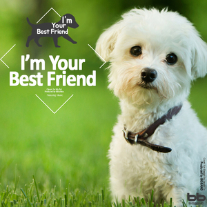 Spohr- Duo For Two Violins In D Major Op.67-2 - I. Allegro