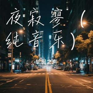 夜寂寥 (纯音乐)