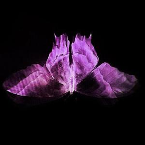 100reasons (Extended Ver.)