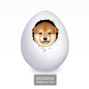 紫苑(Instrumental)