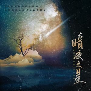暗夜之星