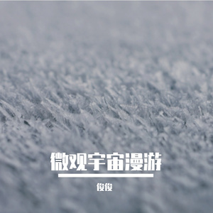 果盘里的盛夏光年
