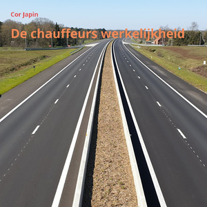 De Chauffeurs Werkelijkheid