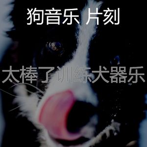 微妙的睡狗心情