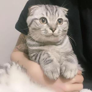 每一步（remix）