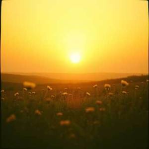 FELICADE E GRATIDÃO