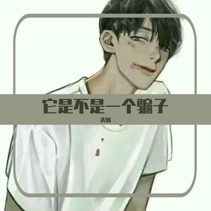 它是不是一个骗子demo