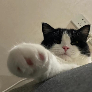 LinFan林凡-思念化成雨vol.1（DJ阿聪Remix / DJ阿雲remix remix）