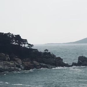 这个世界这样吗