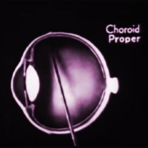 Choroid Proper
