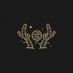 像你这样的朋友