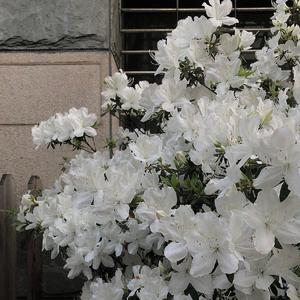 with u（prod by CuD）