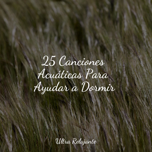 Melodía De Las Profundidades