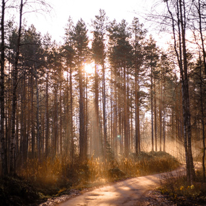 Silence is the most powerful scream 2