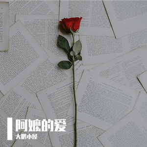 阿嬷的爱 伴奏
