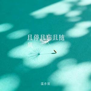 且停且忘且随风