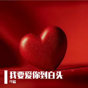 我要爱你到白头