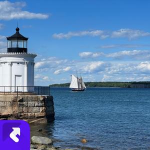 海豚的眼泪汽水纯音乐