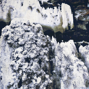 The Dawn of What Will Be