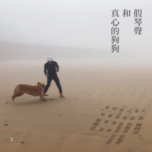 假琴声和真心的狗狗伴奏