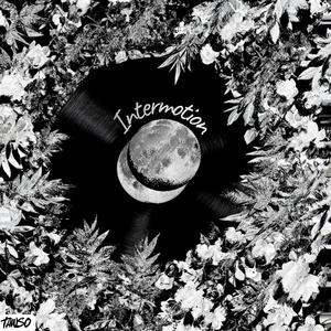 Intermotion
