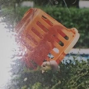 多想在平庸的生活拥抱你