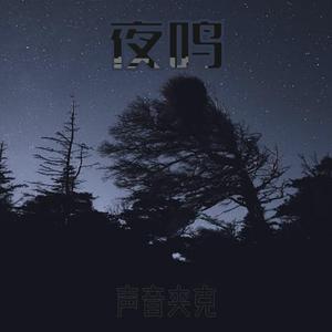 夜鸣